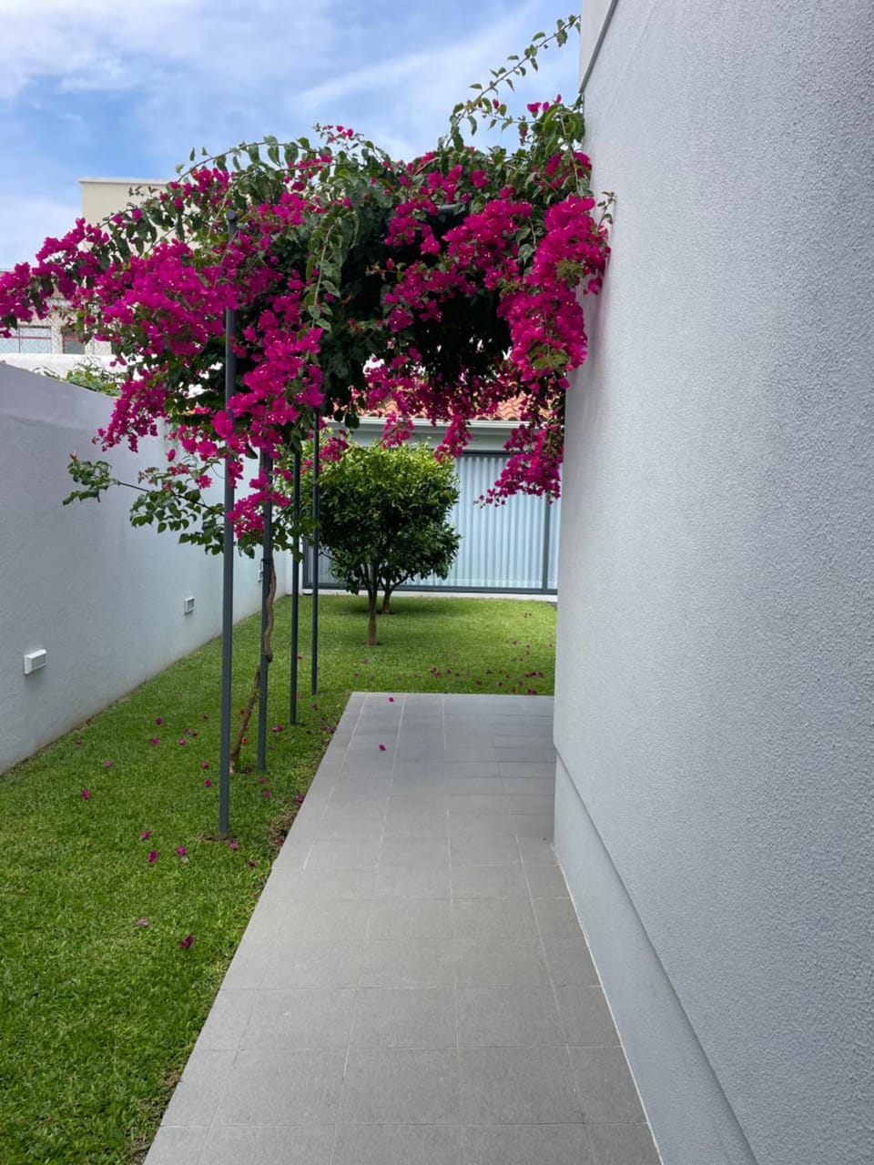 Casa da Mónica Vacation rental in Ponta Delgada