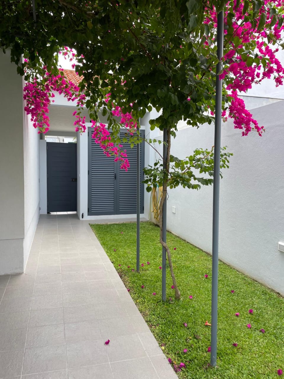 Casa da Mónica Vacation rental in Ponta Delgada