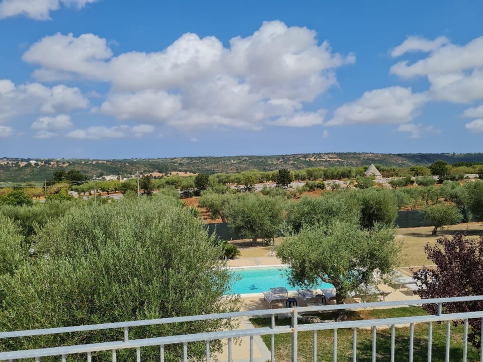 Natural landscape, Bird's eye view, Garden