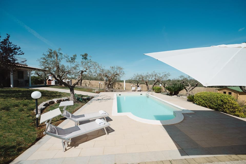 Day, Garden, Garden view, Pool view, Swimming pool, sunbed