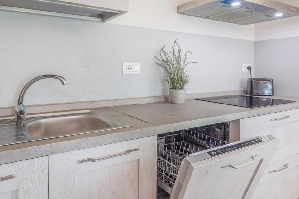 Kitchen or kitchenette, dishwasher, stove