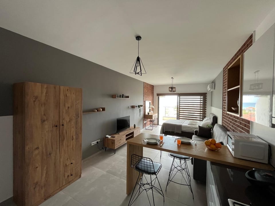Bed, Kitchen or kitchenette, Living room, Photo of the whole room, Bedroom