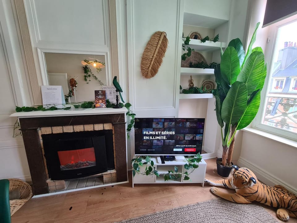 TV and multimedia, fireplace