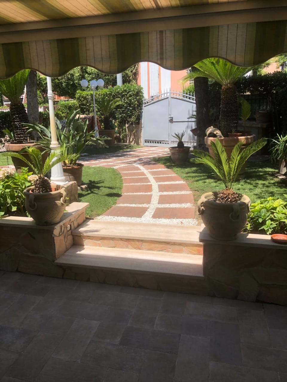 Garden view