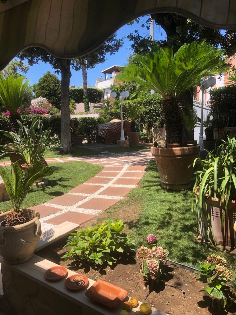 Garden view