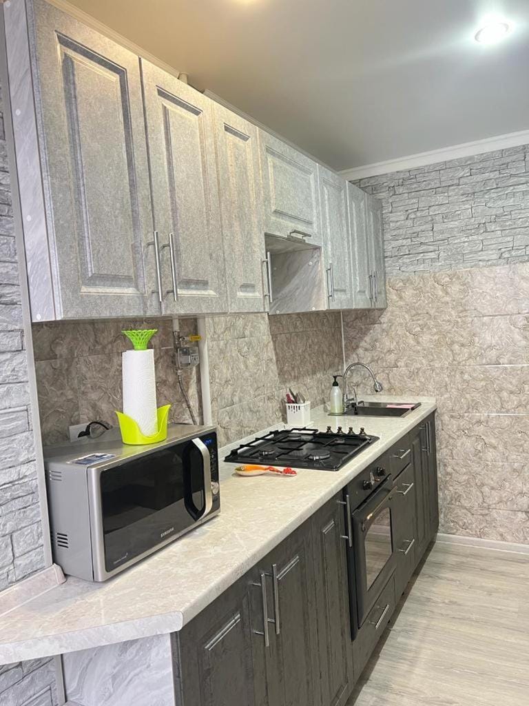 Квартира в центре города Apartment in Kazakhstan