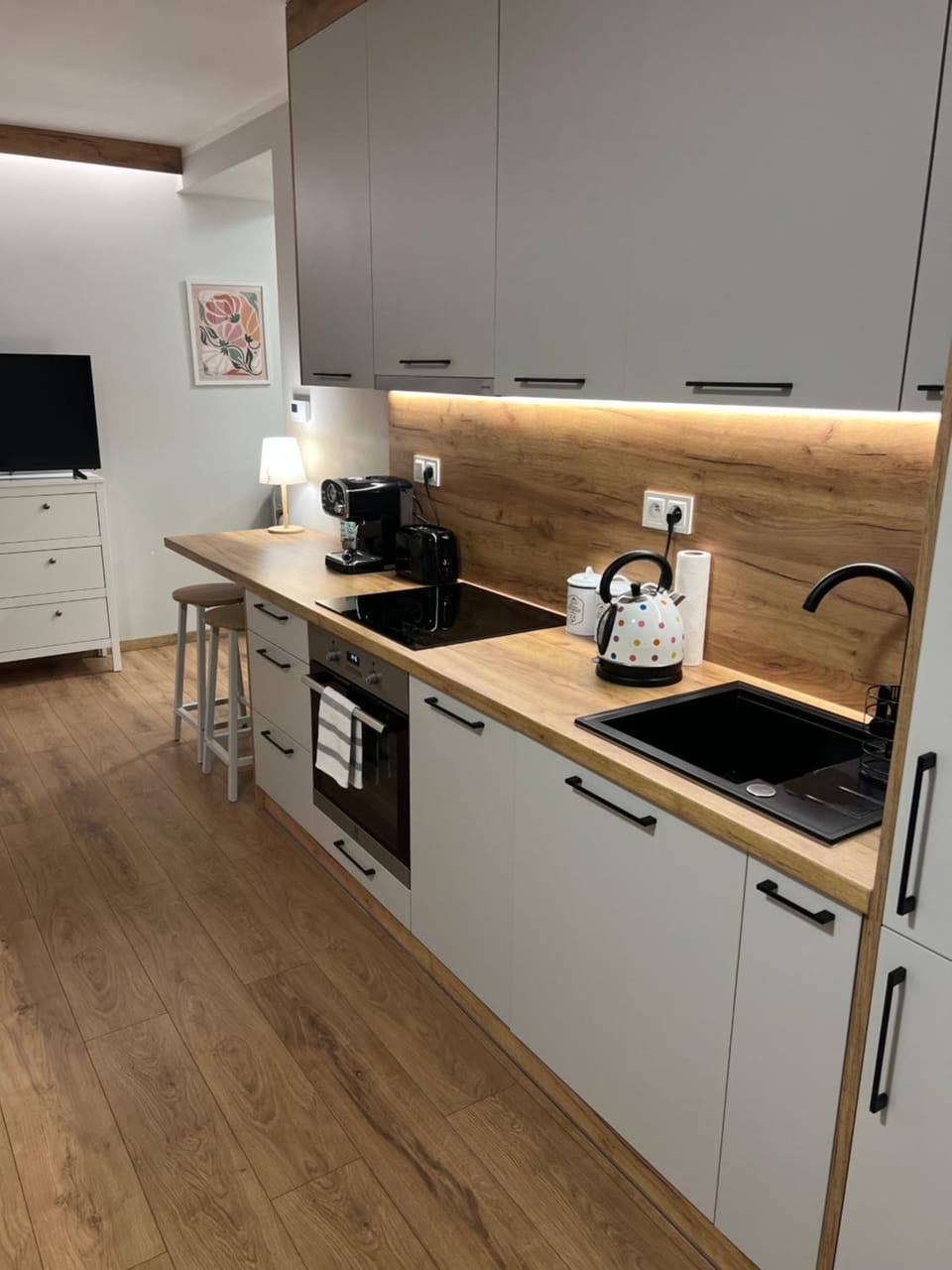 TV and multimedia, dishwasher, stove, toaster