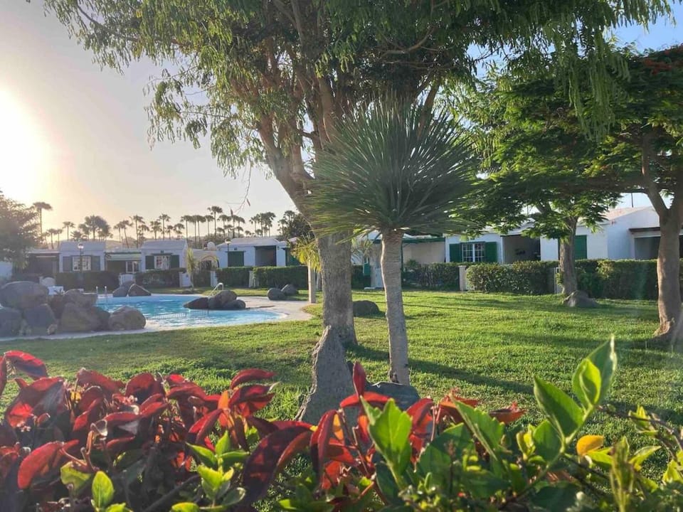 Garden view