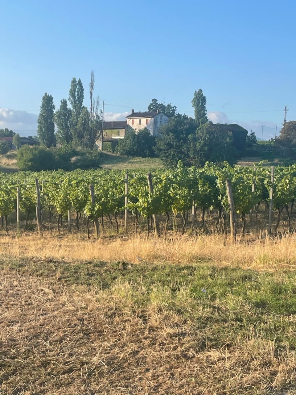 Cascina Valgrande, Monferrato House in Lombardy