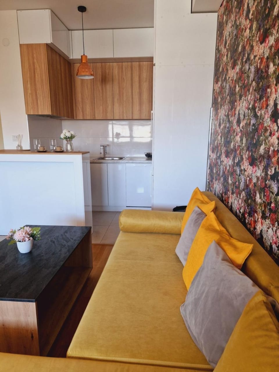 Urban Garden Apartment Apartment in Skopje