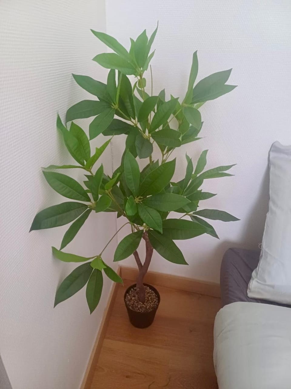 Le minimaliste Apartment in Pamiers