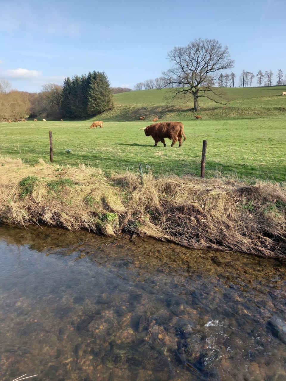 Ap78 Nature Ardennes Economy class apartment Apartment in Aachen