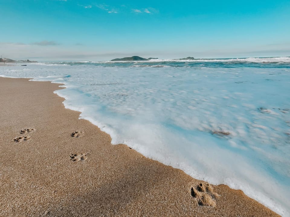 Nearby landmark, Natural landscape, Beach