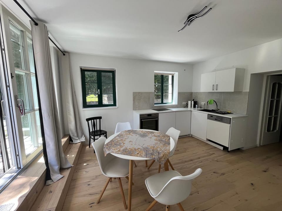 Gartenwohnung Apartment in Bregenz