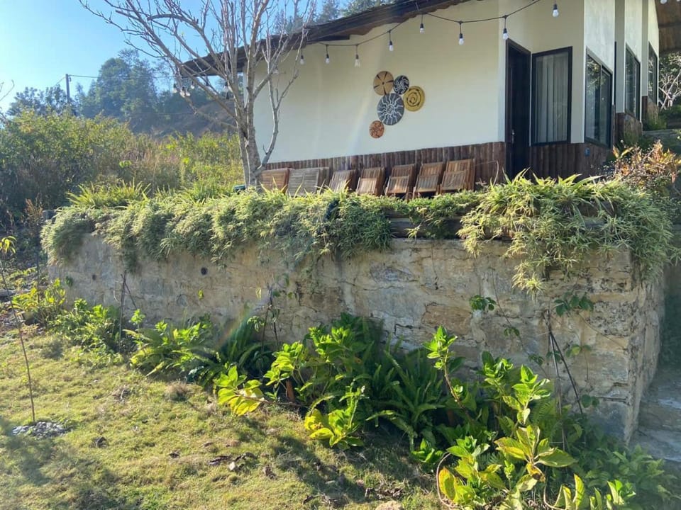 Day, Garden