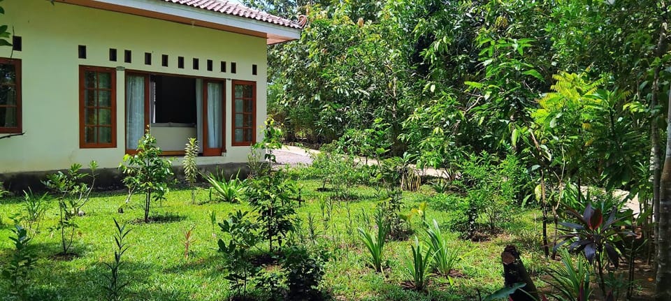 Property building, Natural landscape, Garden, Garden view