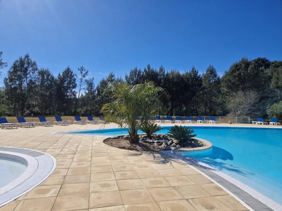 Garden view, Pool view, Swimming pool, sunbed