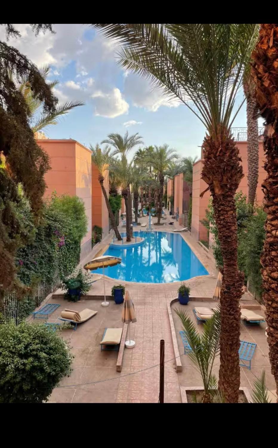Day, Garden, Swimming pool, Swimming pool, sunbed