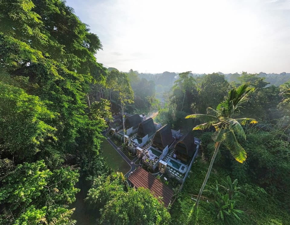 Property building, Natural landscape