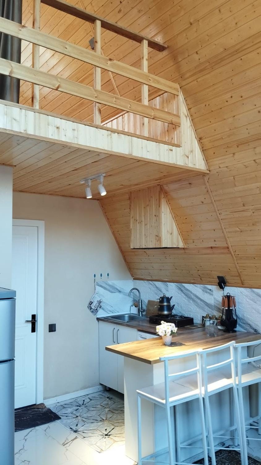 Kitchen or kitchenette, Dining area, stove