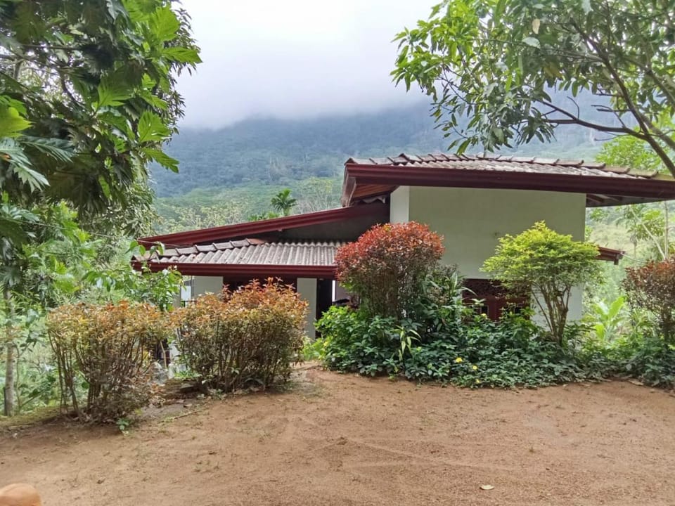 Omashi sinharaja holiday resort Hostel in Sri Lanka