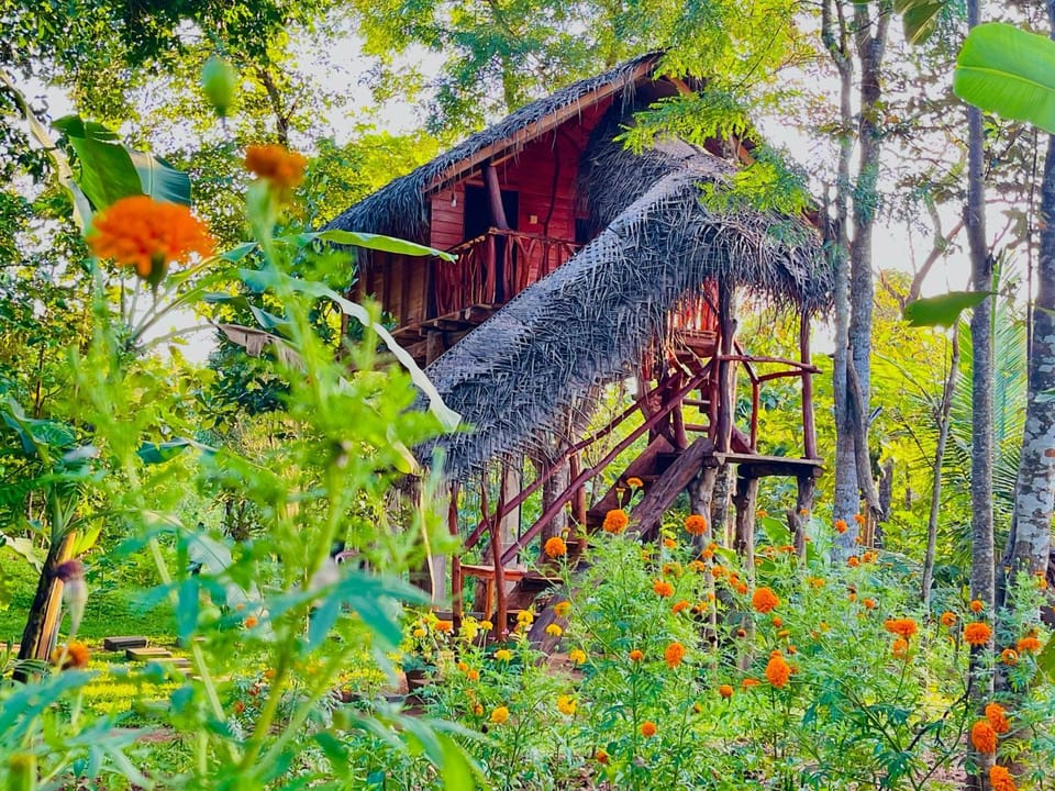 Property building, Garden view