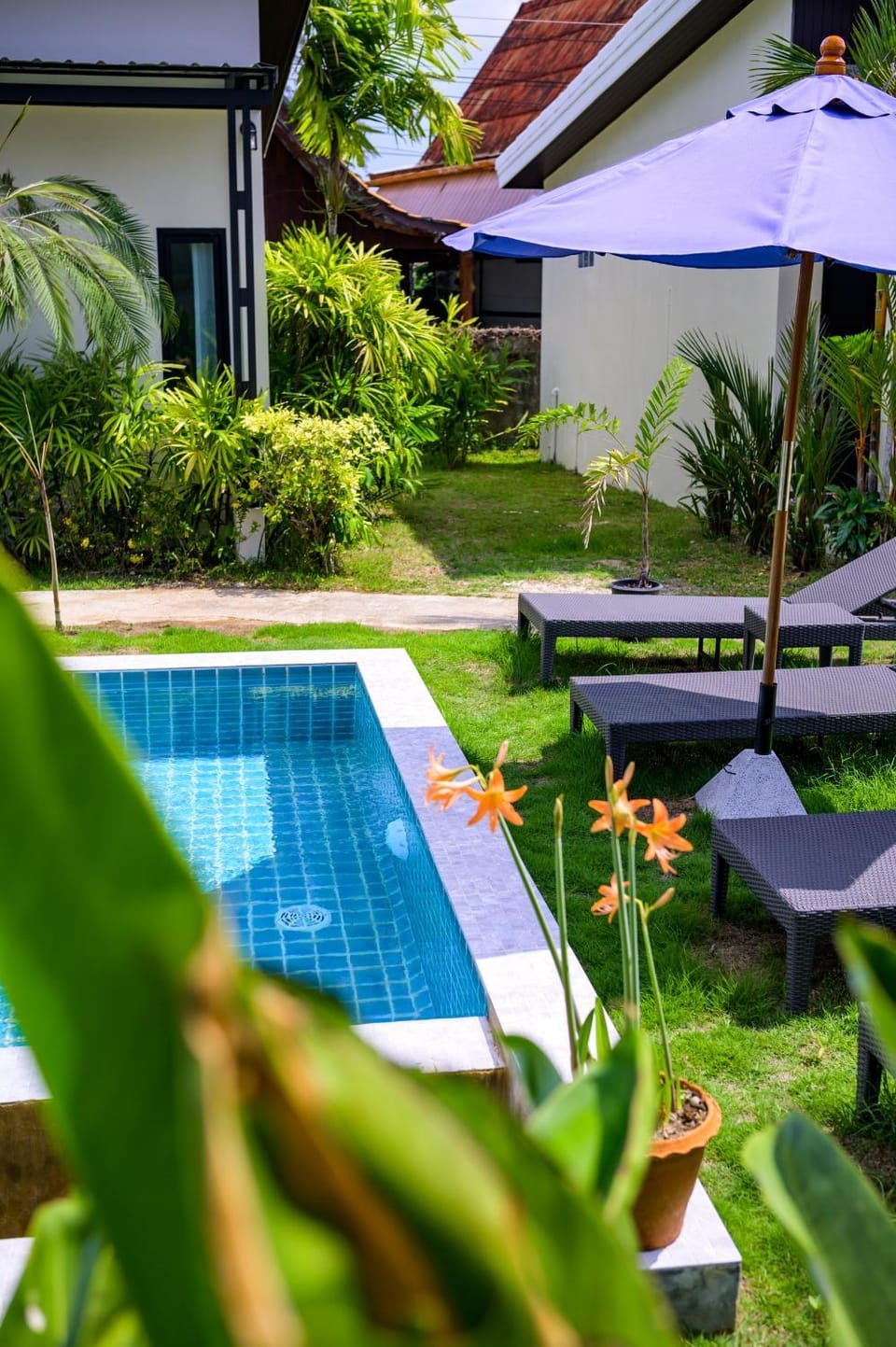 Swimming pool, sunbed