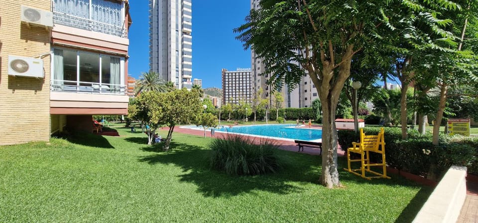 Patio, Garden, Garden view