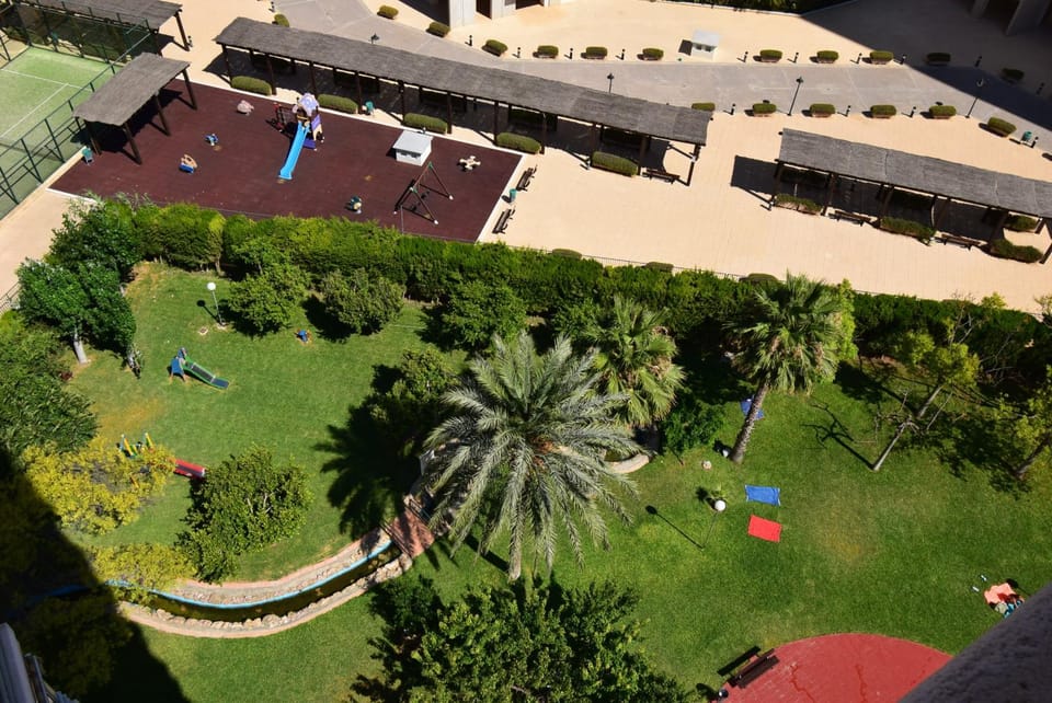 Patio, Garden, Garden view