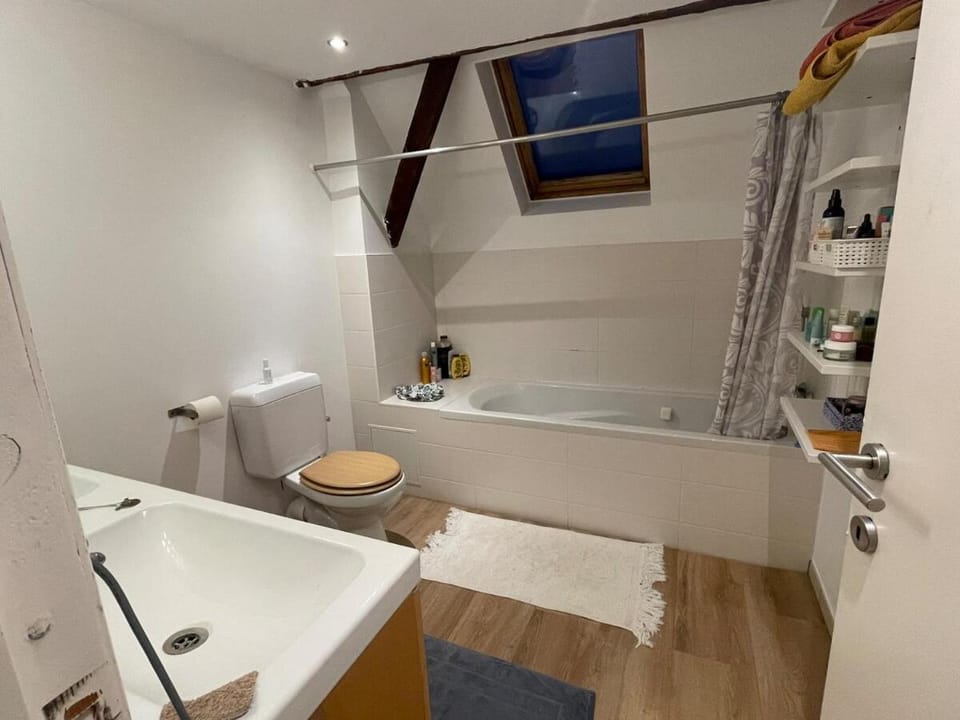 Shower, Toilet, Bathroom, Bath, towels