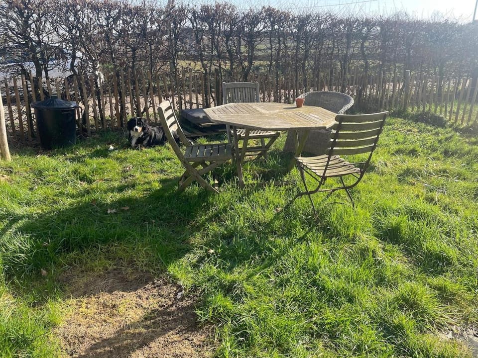 Spring, Day, Natural landscape, Garden, Dining area, Garden view