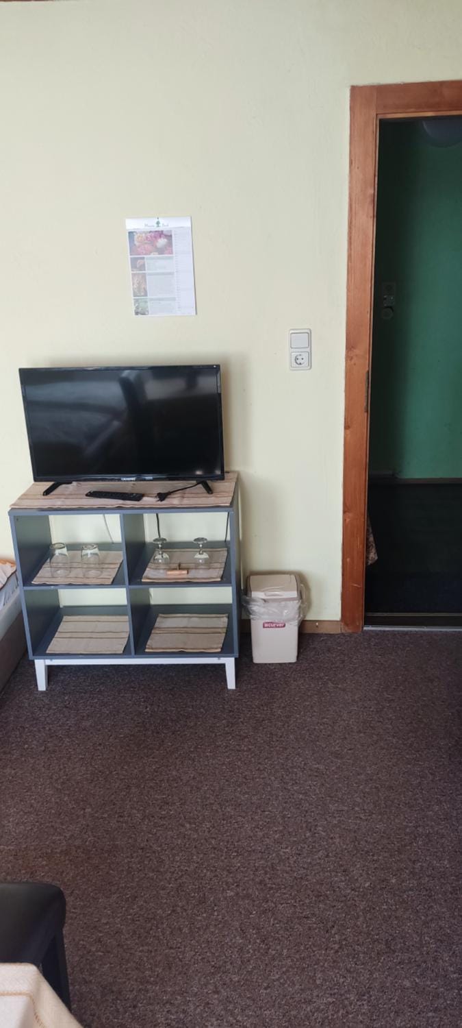 Pension Fischer Alte Windmühle Bed and Breakfast in Plauen