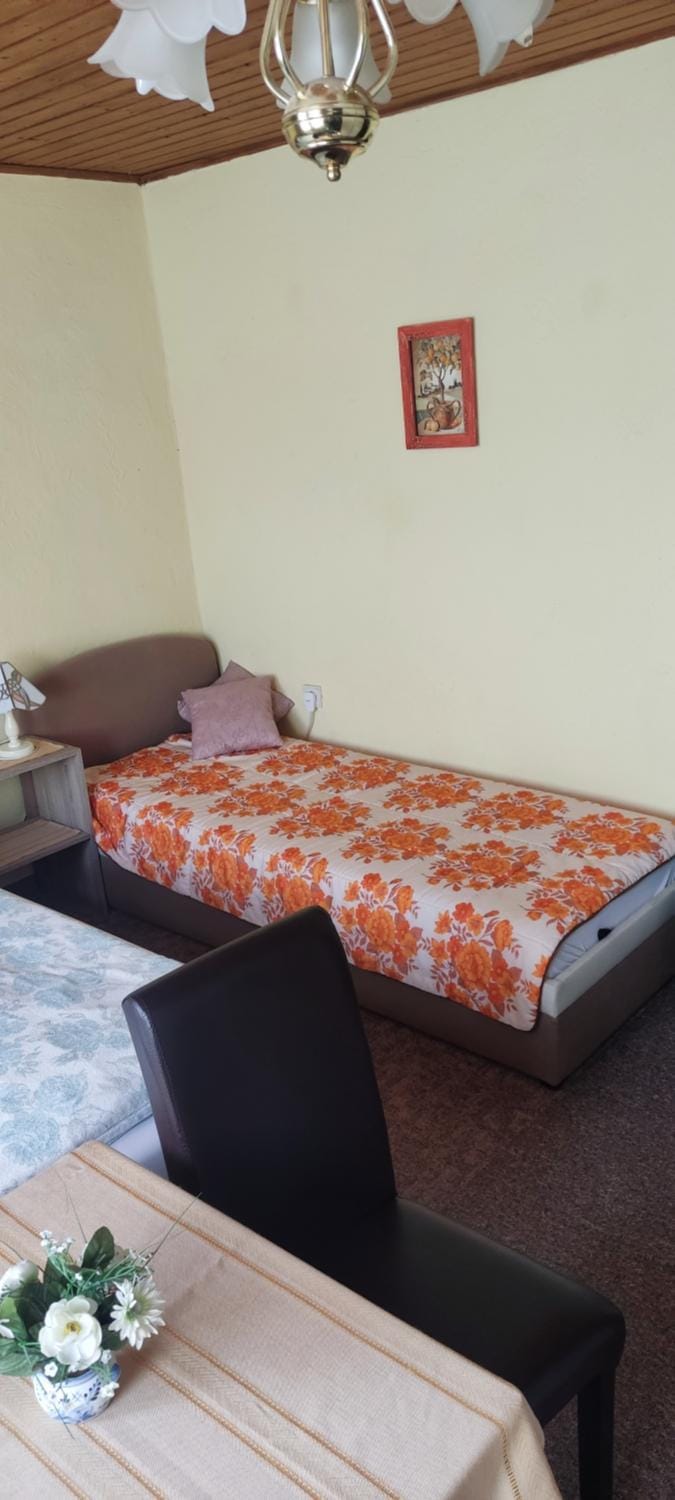 Pension Fischer Alte Windmühle Bed and Breakfast in Plauen