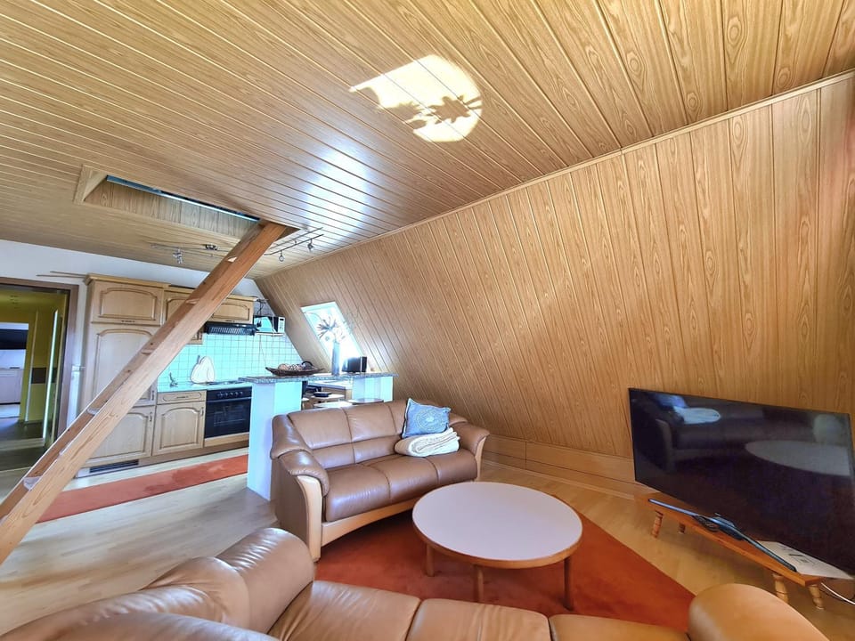 Living room, kitchen