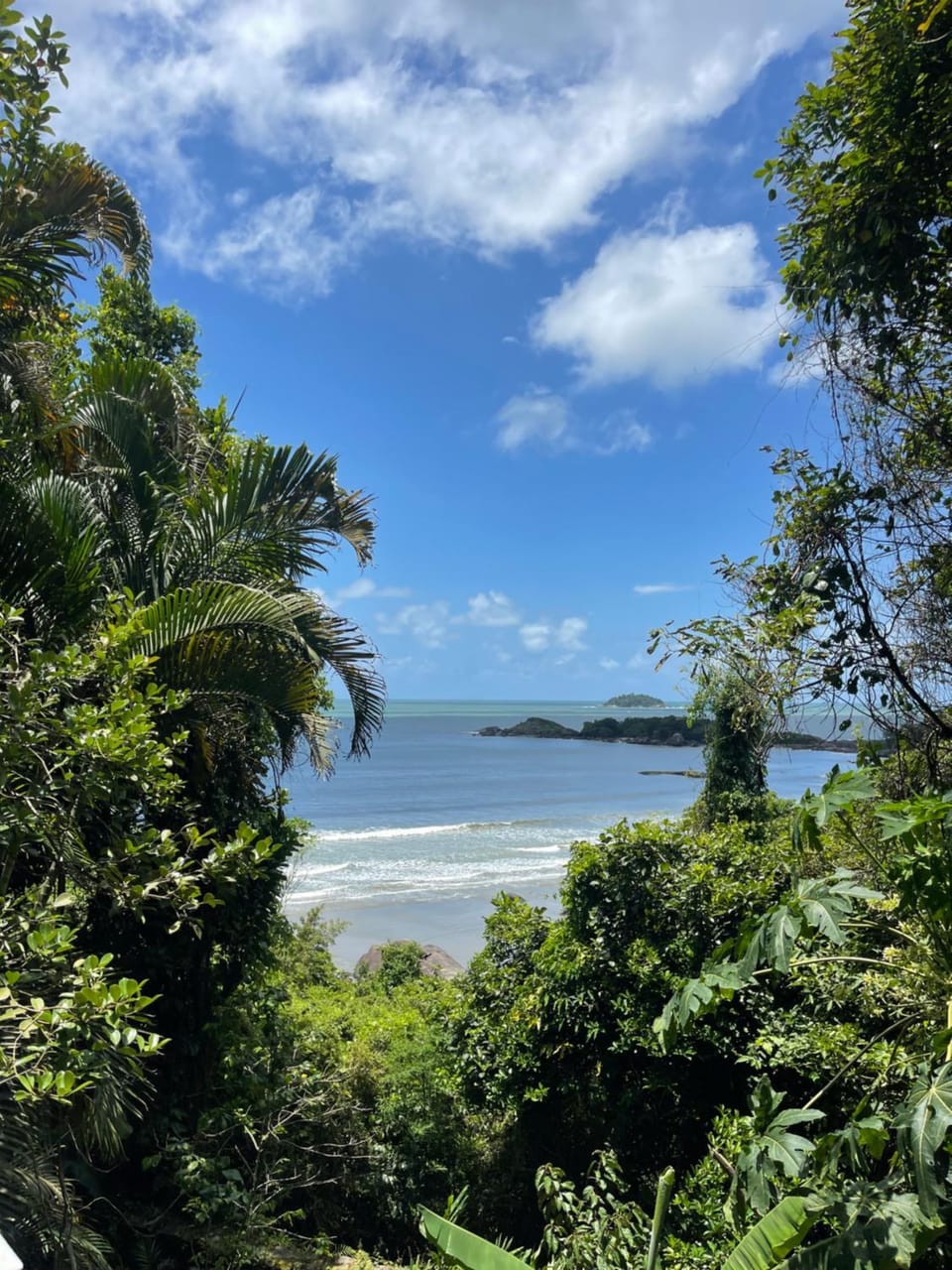 View (from property/room)