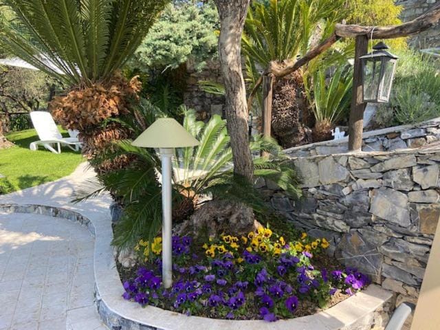 Garden view