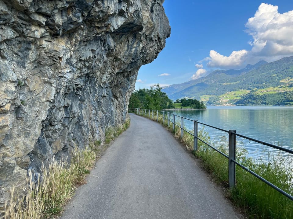 Lake view