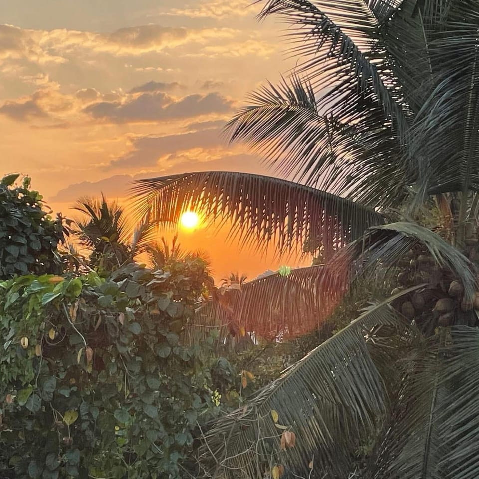 The Palms view Hotel in Western Province