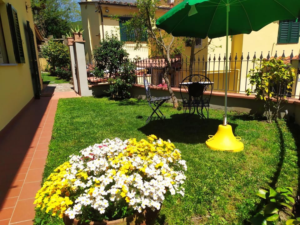 Spring, Garden, Garden view