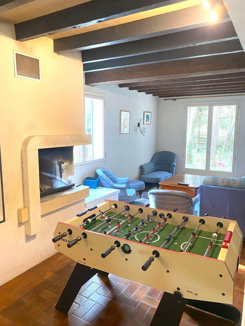 Living room, Entertainment