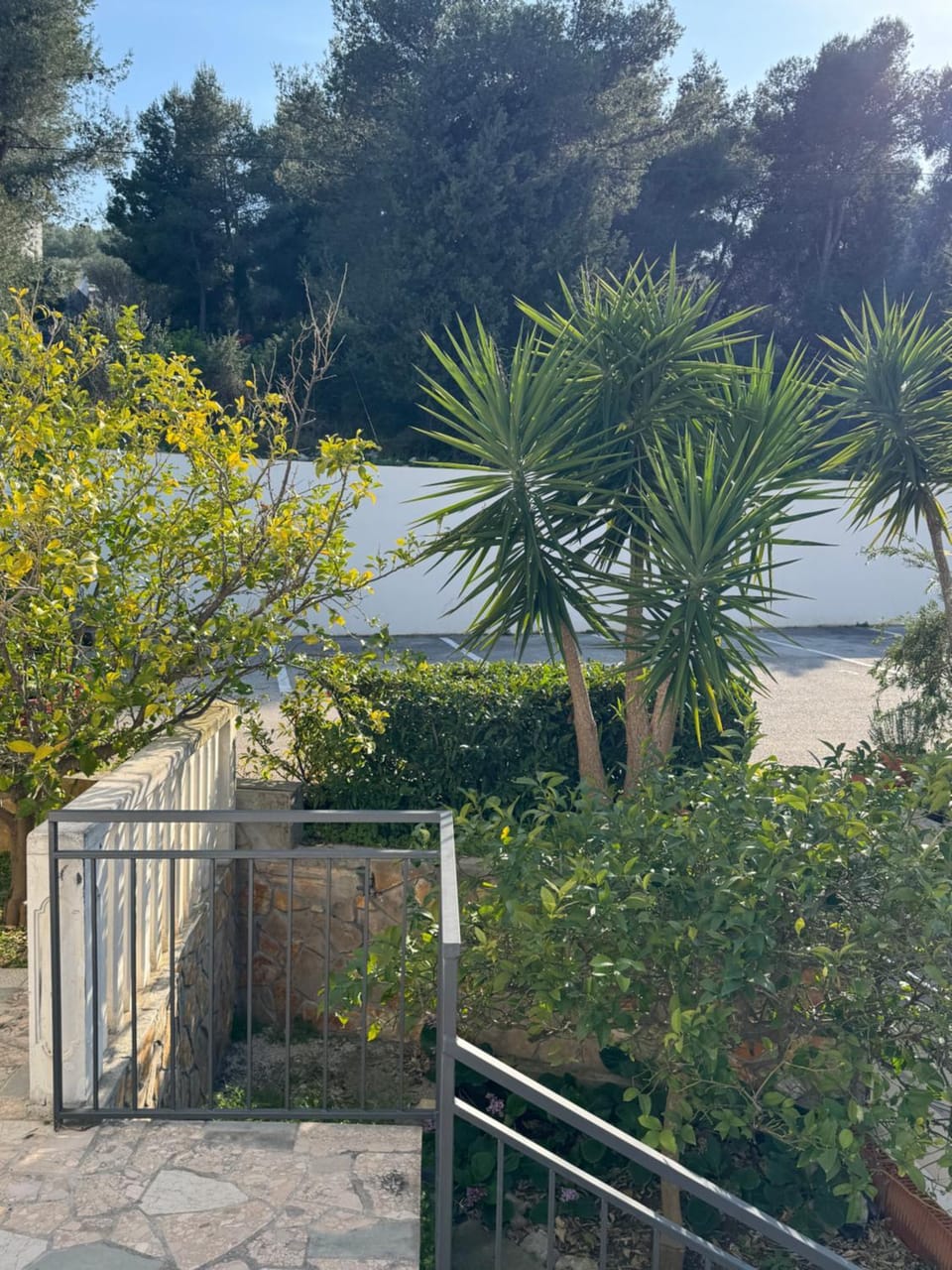 Natural landscape, Garden, Balcony/Terrace