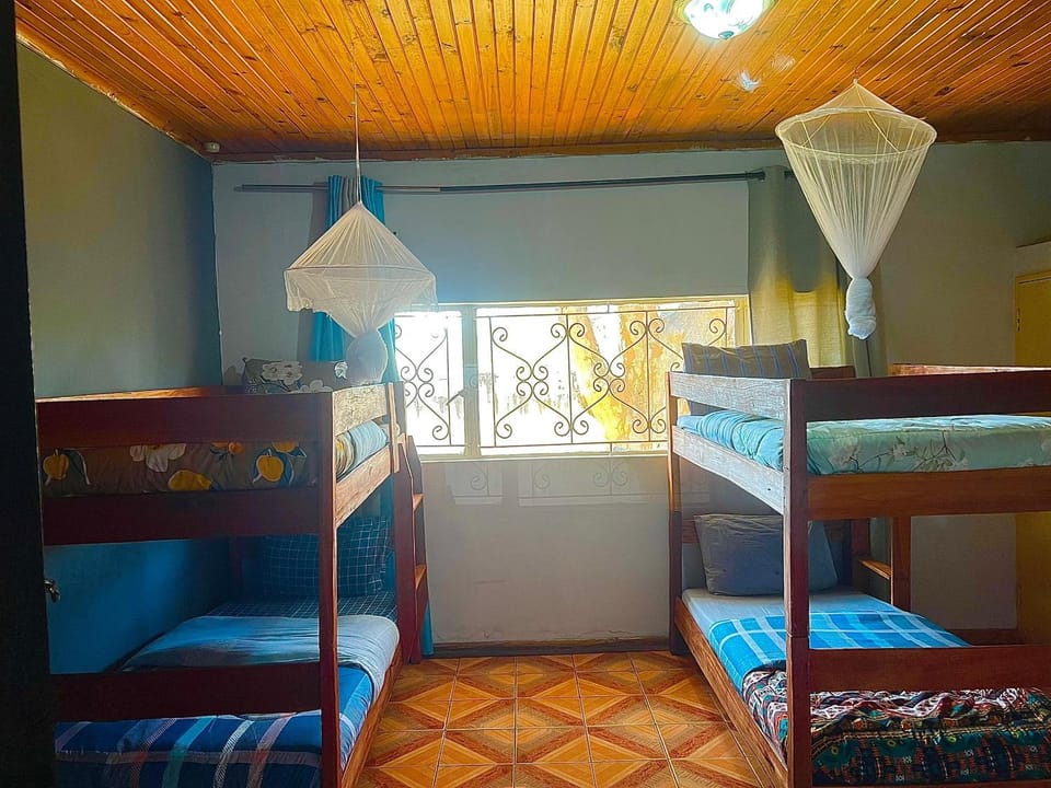 Bed, Photo of the whole room, Bedroom, bunk bed