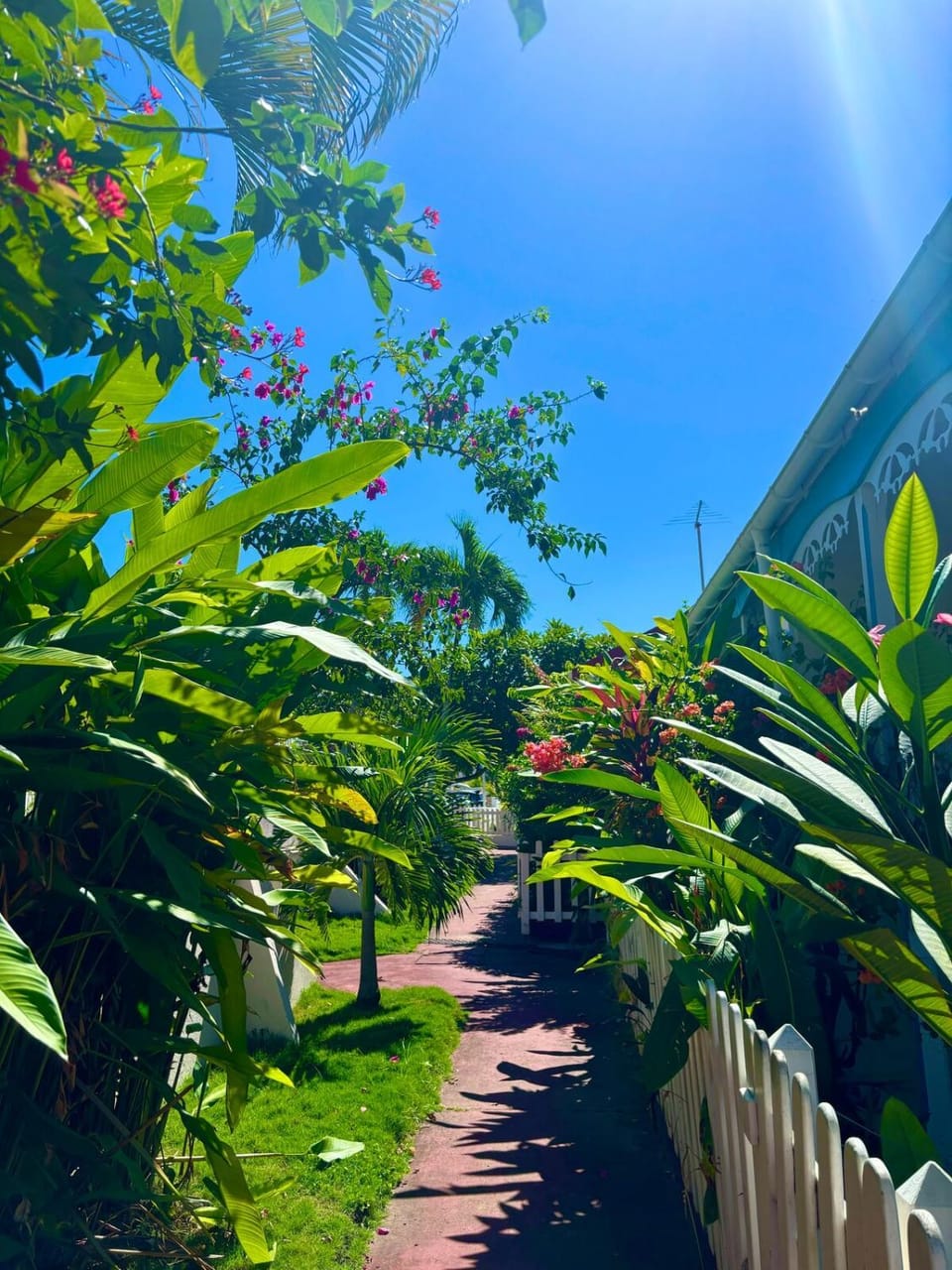 Day, Natural landscape, Garden, Garden view