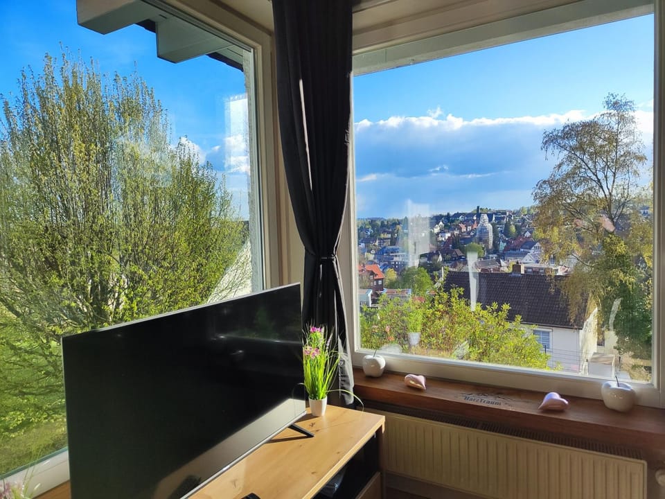 Natural landscape, TV and multimedia, Evening entertainment