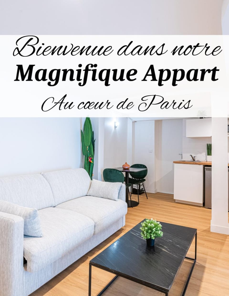 Le De Niro Magnifique Duplex Invalides Eiffel Tower 7 Pers Apartment in Paris