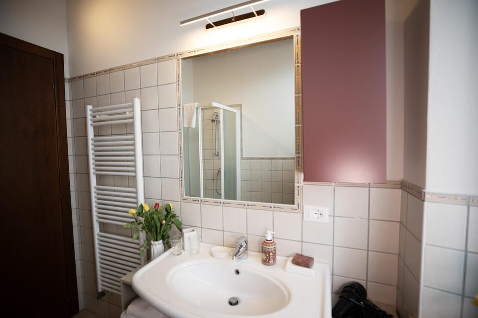 Shower, Toilet, Bathroom, bidet