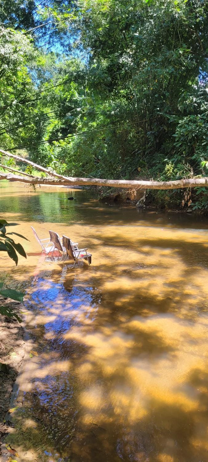 Day, Natural landscape, River view