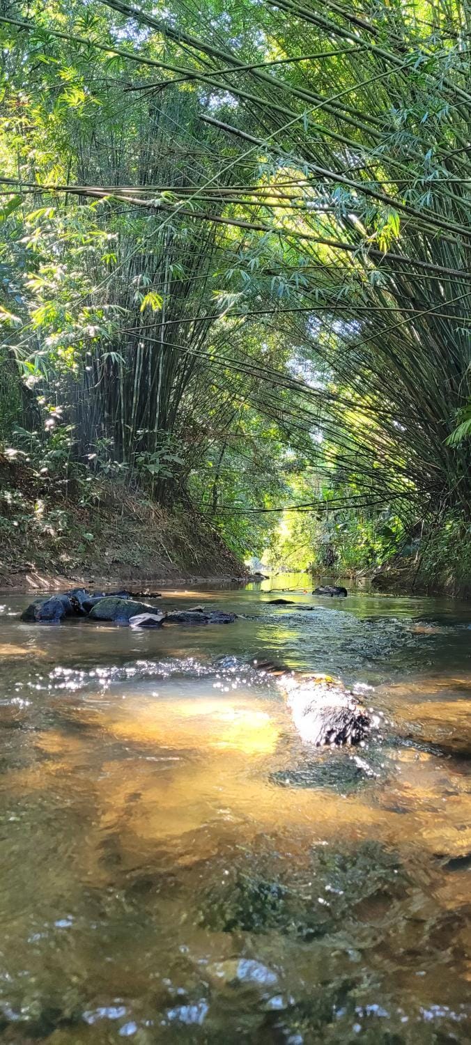 Natural landscape, River view