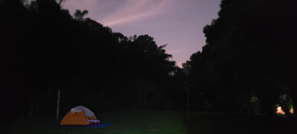 Night, Natural landscape