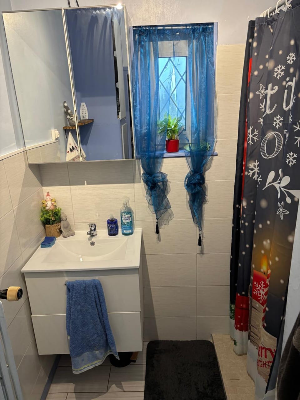 Shower, Bathroom